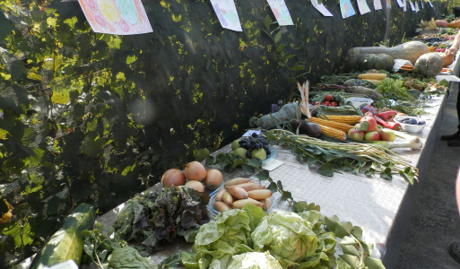 Regionálna výstava ovocia, zeleniy a kvetov 1. a 2. októbra 206 v bufete Mičurín sme usporiadali 10. ročník výstavy ovocia, zeleniny a kvetov.