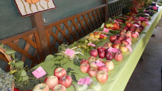 Výstava ovocia, zeleniny a kvetov