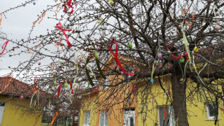 003 Aktivita Csemadoku - vajcový strom na veľkonočné sviatky apríl 2021