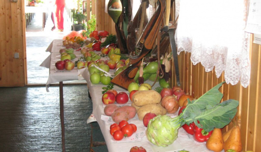 Výstava ovocia a zeleniny 22. septembra 2007 sa konala výstava ovocia a zeleniny v bufete Mičurín.