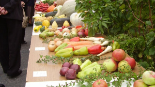 Výstava ovocia a zeleniny 2010