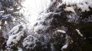 Zima 2011