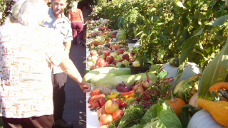 Výstava ovocia a zeleniny